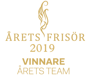 Årets team 2019