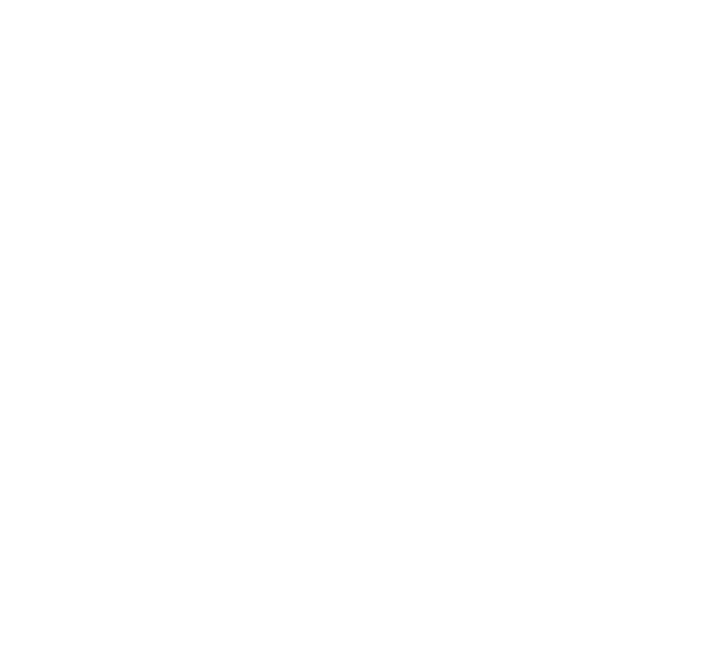 NOVO logo
